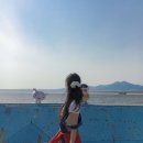 짱구노래광장 네이버블로그