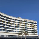 두근두근 그림책 놀이터 1기 | 김해 롯데호텔앤리조트 째깍섬 드로잉 수업 내돈내산 후기