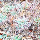 대왕농장 이미지