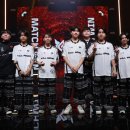 (주)뉴스마일투어 이미지