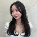 복구펌 가격 자체 복구펌제 더 베럴 펌