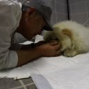 피움동물병원 이미지