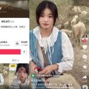 중국 인기 ‘양치기 소녀’…특기가 ‘도축’이었다 이미지