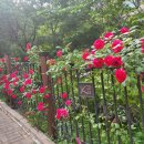 연지부동산중개사무소 이미지