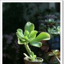 상학농장 이미지