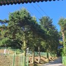 갑도농장 | 남한산성 청량산 개원사 방문후기 - 호국사찰, 대각전, 불유전, 화현전, 승장조사전, 여초 김응현 현판...