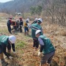 산림농산 전국매일신문