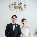 본식 스냅 스튜디오 추천_대만족 후기 (feat.오셰르 가든)
