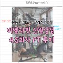 비벨라핏 | 신월성 헬스장 비벨라핏 PT 후기, 운동 이해도가 달라진 이유