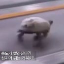 서강대학교 AI SW대학원 이미지