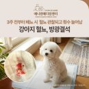 애니컴 메디컬센터 이미지