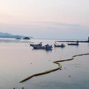 금산명과