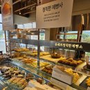 광사인 | 양주 대형 베이커리 카페 추천! 빵이 맛있는 윤쉐프정직한제빵소 광사점 후기