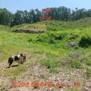 신하농장 이미지