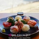 제주마꼬또