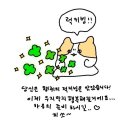 선우민박 | 희망과 절망이 섞여있는 대마도 여행