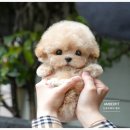 동일애견샵 이미지