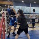 분당W복싱센터 이미지