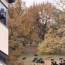 가꿀목장 이미지