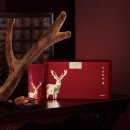 이종환한의원 이미지