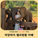 치앙마이 아이와 가볼만한곳 엘리핀팜 카페 후기 + 그랩 렌트 꿀팁