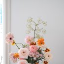 사림동136 이미지