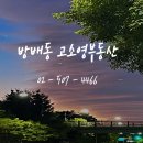 고소영공인중개사사무소 이미지