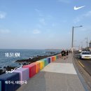 한라 1 | [나인티즈] 팀한라 - 우당탕탕 제주도 여행기 / 한라산 런트립 후기 (1)