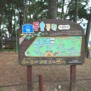 진하7길 이미지