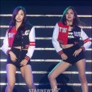 미나 카카오 검색결과