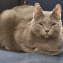 주식회사 이봄 이미지