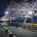 고택남 봉곡점 이미지