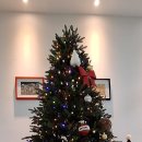 라프르따 이미지