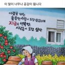 마지막 미역국 이미지