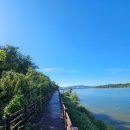 비산나루터 체육공원 이미지