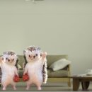 데굴데굴 당구장 이미지