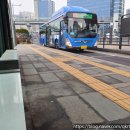 신성초교 이미지