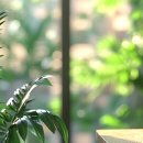 작은공간 이미지