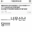 도그 어바웃 이미지