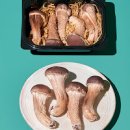 버섯무침 레시피 버섯나물 초간단 참송이버섯 요리 이미지