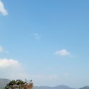 허브홀릭