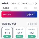 고고핫도그