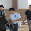 펠리체승마클럽 네이버블로그