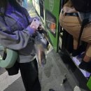 HK 기아카크리닉 | 사파행 슬리핑버스