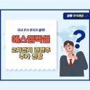 에스엠벡셀 주가 전망 2025 - 2차전지 관련주로서의 투자 전략