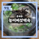 제1능이버섯백숙과능이생국수 | 영등포 맛집 '문래동 능이버섯백숙' 능이버섯삼계탕 내돈내산 후기
