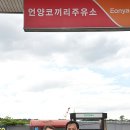 코끼리주유소 이미지