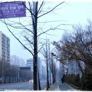 한글비근린공원 이미지