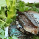 완도전복삼계탕 이미지