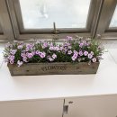 연세이너힐의원 이미지